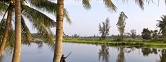 вьетнам, лодка, река, пальма, азия