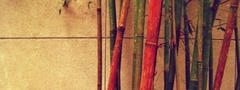 стена, бамбук, стволы, надписи