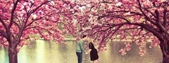 весна, любовь, парочка, поцелуй, ветви, цветение, деревья