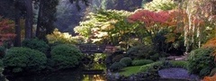 японский сад, мост, вода, утро