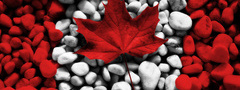 канада, флаг, камни, лист, клён