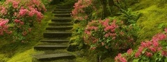 сад, японский, парк, зелень, цветы, деревья, растения, папоротник, трава, с ...