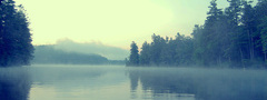 озеро, вода, лес, туман, берег