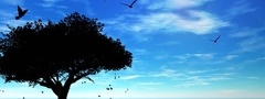 небо, птички, дерево