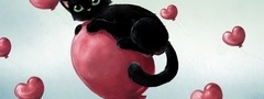 черный кот, сердца, любовь