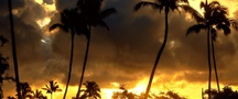 пальмы, облака, солнце, закат