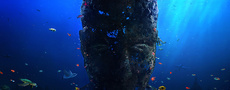 подводная статуя, затонувшая скульптура, кораллы, маска, под водой