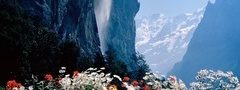 горы, цветы, водопад