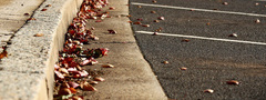бордюр, парковка, осень, листья, асфальт