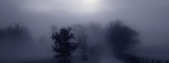мгла, туман, дорога, свет
