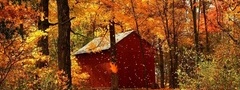 Золотая осень, домик, листопад