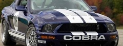 ford, mustang, fr500-gt, cobra, muscle car, кобра, форд, мустанг, авто фото ...