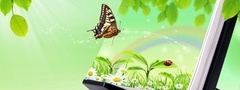 природа, бабочка, цветы, листья