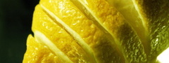 лимон, фрукт, цитрус, макро, lemon, fruit, citrus, macro, 1920x1080