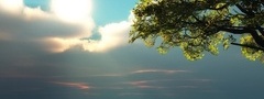 дерево, море, трава, облака, солнце, небо