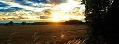 поле, закат, солнце