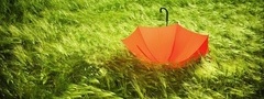 зонт, трава, зелень, зеленый, зеленое, оранжевый, красиво