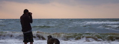 море, человек, собака, волны