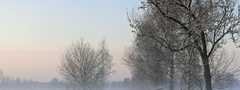 зима, туман, поле, деревья, пейзаж