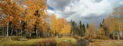 лес, река, природа, осень, пейзаж
