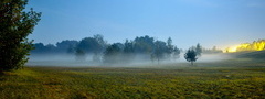 поле, туман, природа, пейзаж