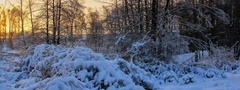 закат, зима, природа, пейзаж