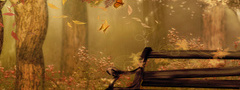 природа, осень, скамейка, бабочка, деревья, листья