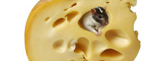 Крысёнок, Сыр, Голландский сыр, Крыс, Сладкая жизнь, Dolce Vita