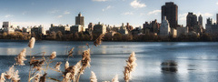 Нью-Йорк, центральный парк, озеро, вода, небо, здания
