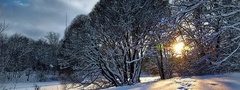 зима, снег, солнце, лучи, ветви, деревья
