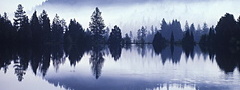 вода, отражение, лес, туман, горы, утро