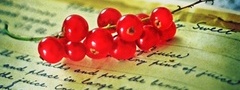 ягоды, красные, книга
