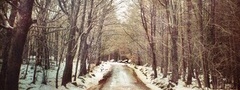 парк, аллея, снег, деревья