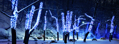 ночь, иллюминация, снег, освещение, парк, деревья, скамейки