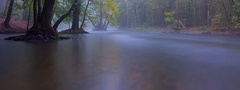 Река, лес, туман