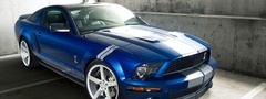 ford, mustang, shelby, форд, мустанг, шелби