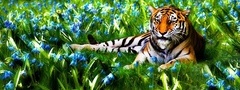 Тигр, цветущая, поляна