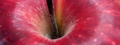 Макро, яблоко, фрукт