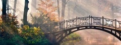 природа, мост, солнечно