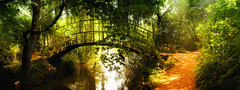 Мост, природа, свет
