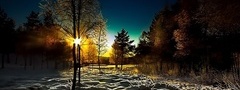 Зима, лес, блики заходящего солнца