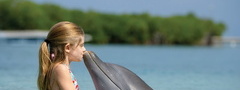 Дельфин, девочка, вода, поцелуй