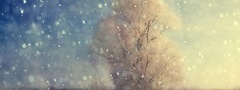 Дерево, снегопад, зима