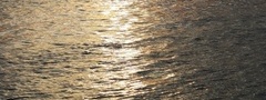 Морская, рябь, в ней солнца отражение