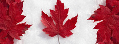 канада, флаг, листья, снег