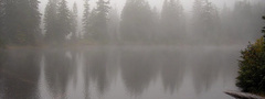 озеро, туман, дерево