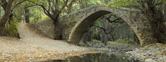 каменный мост в лесу