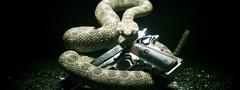 змея и пистолет