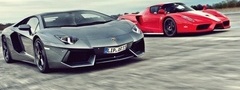 Ferrari and Lamborghini