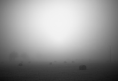 пустота, туман, поле